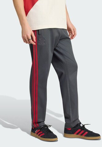 ADIDAS PERFORMANCE - regular Pantalón deportivo 'River Plate 125th Anniversary' en gris: frente