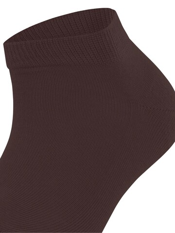 FALKE Ankle Socks 'Family' in Brown