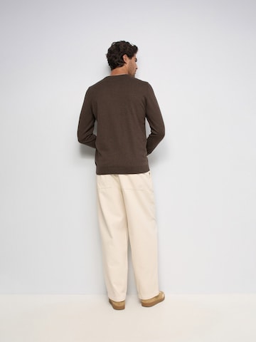 Salsa Jeans Pullover in Braun