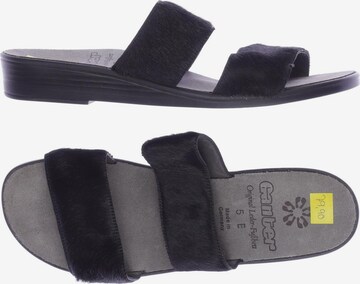 Ganter Sandals & High-Heeled Sandals in 38 in Black: front