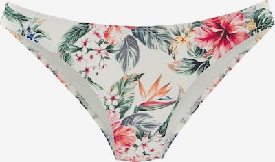 LASCANA Bikini donji dio u boja pijeska / miks boja, Pregled proizvoda