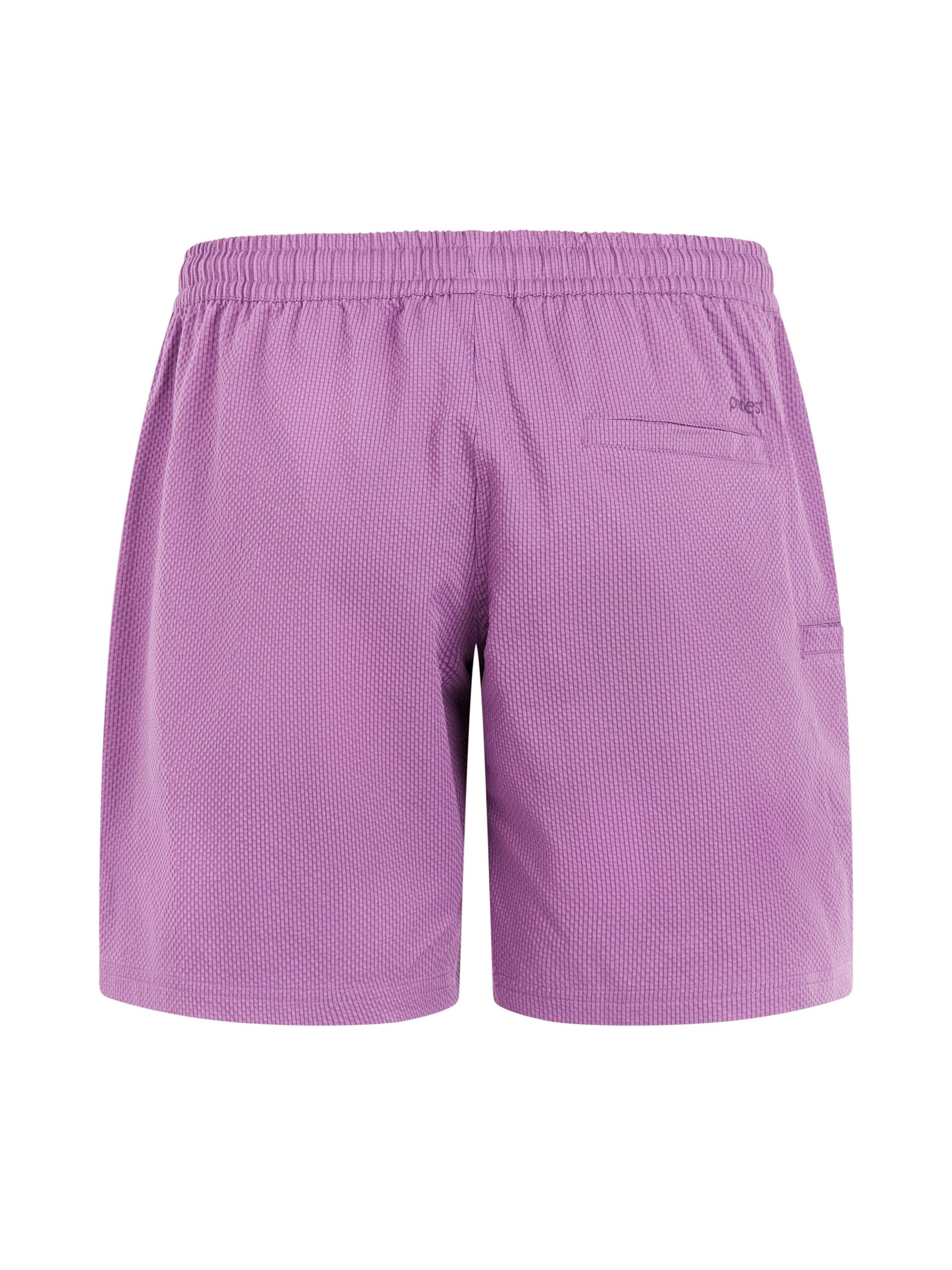 PROTEST Swimming Trunks 'PRTAgaat 25' in Purple