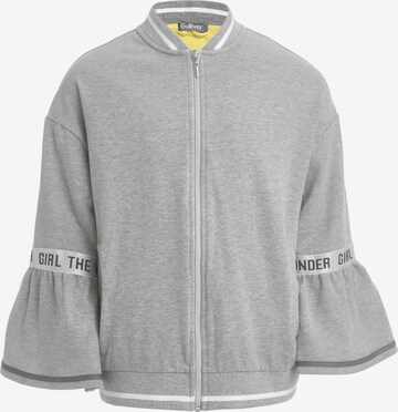 Gulliver Zip-Up Hoodie in Grey: front