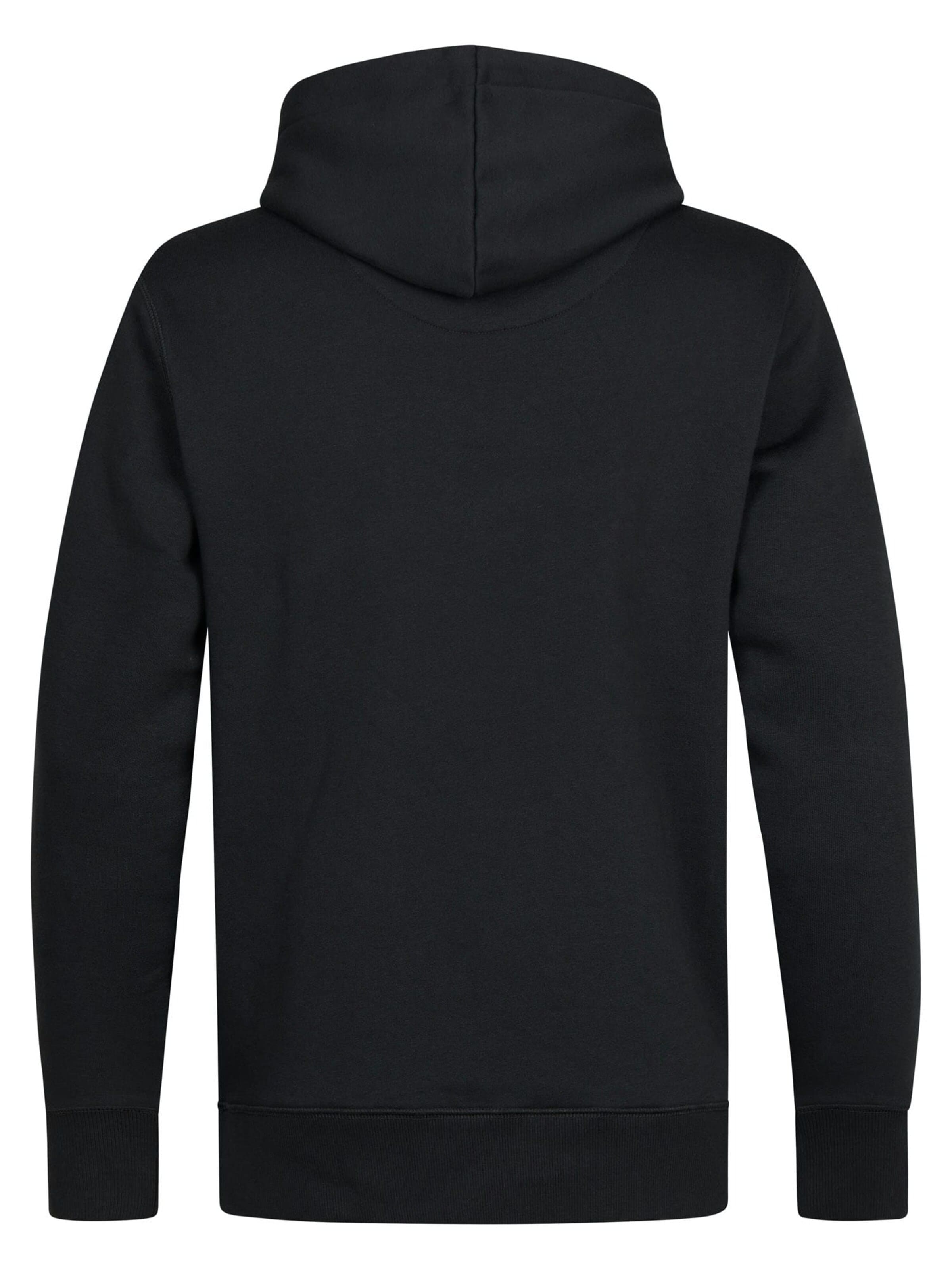 PETROL INDUSTRIES MEN Sweater in Grey
