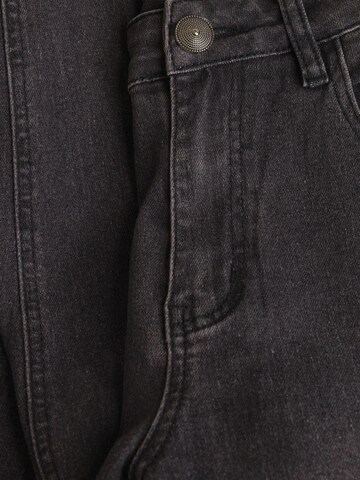 IVY BEAU Jeans 'Mea' in Grey