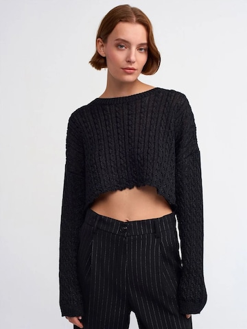 Dilvin Sweater in Black: front