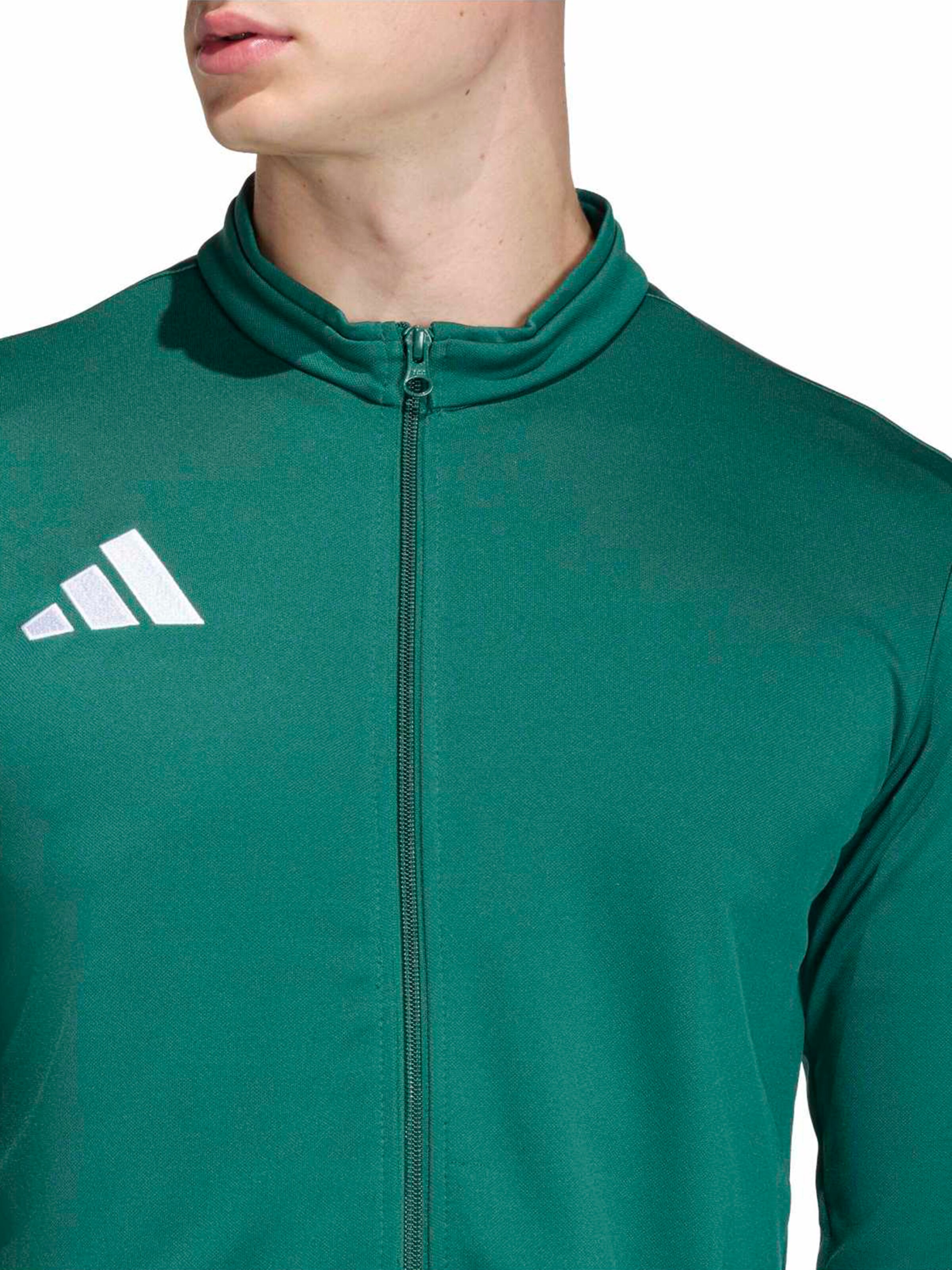 Veste de sport 'ENT26' ADIDAS PERFORMANCE en vert