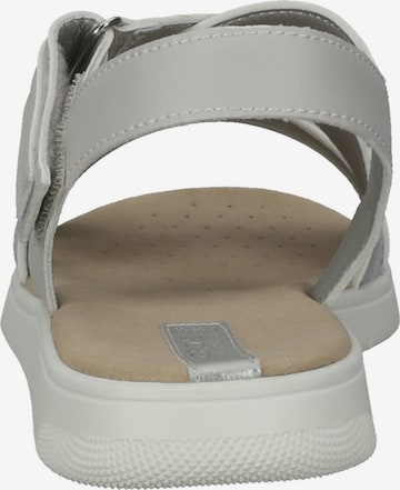 GEOX Sandals in Grey
