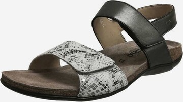 MEPHISTO Sandals in Grey: front