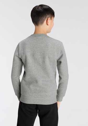 Champion Authentic Athletic Apparel Sweatshirt in Grey