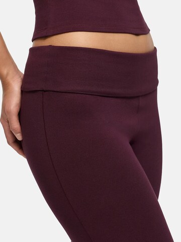 évasé Leggings 'Cotton Flared Bootcut Leggings' cfab (formerly creamy fabrics) en rouge