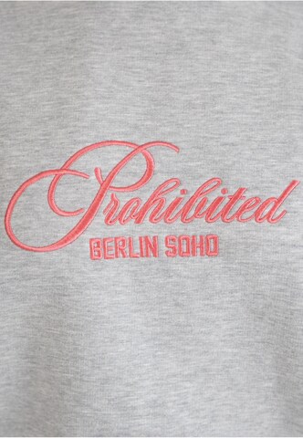 Prohibited Sweatshirt 'Bohemian' in Grau