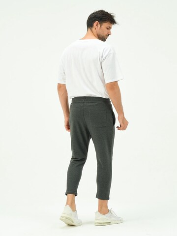 C&City Tapered Pants in Grey