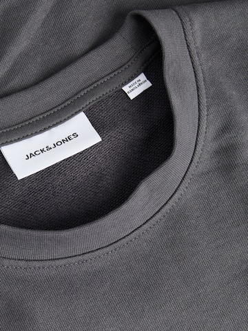 Jack & Jones Plus Sweatshirt 'JJEARCHIVE' i grå