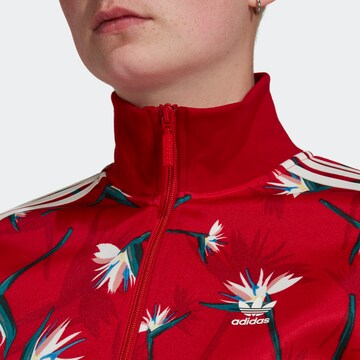 Veste de survêtement 'Thebe Magugu Beckenbauer' ADIDAS ORIGINALS en rouge