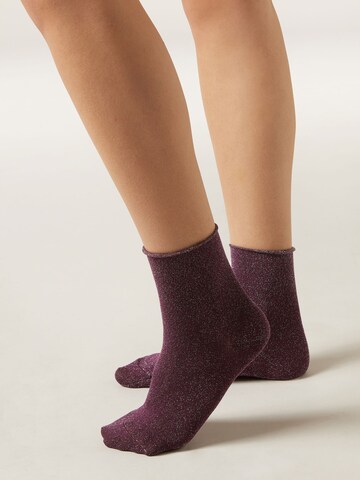 CALZEDONIA Socken in Lila: Vorderseite