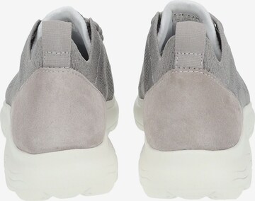 Sneaker bassa 'Spherica' di GEOX in grigio