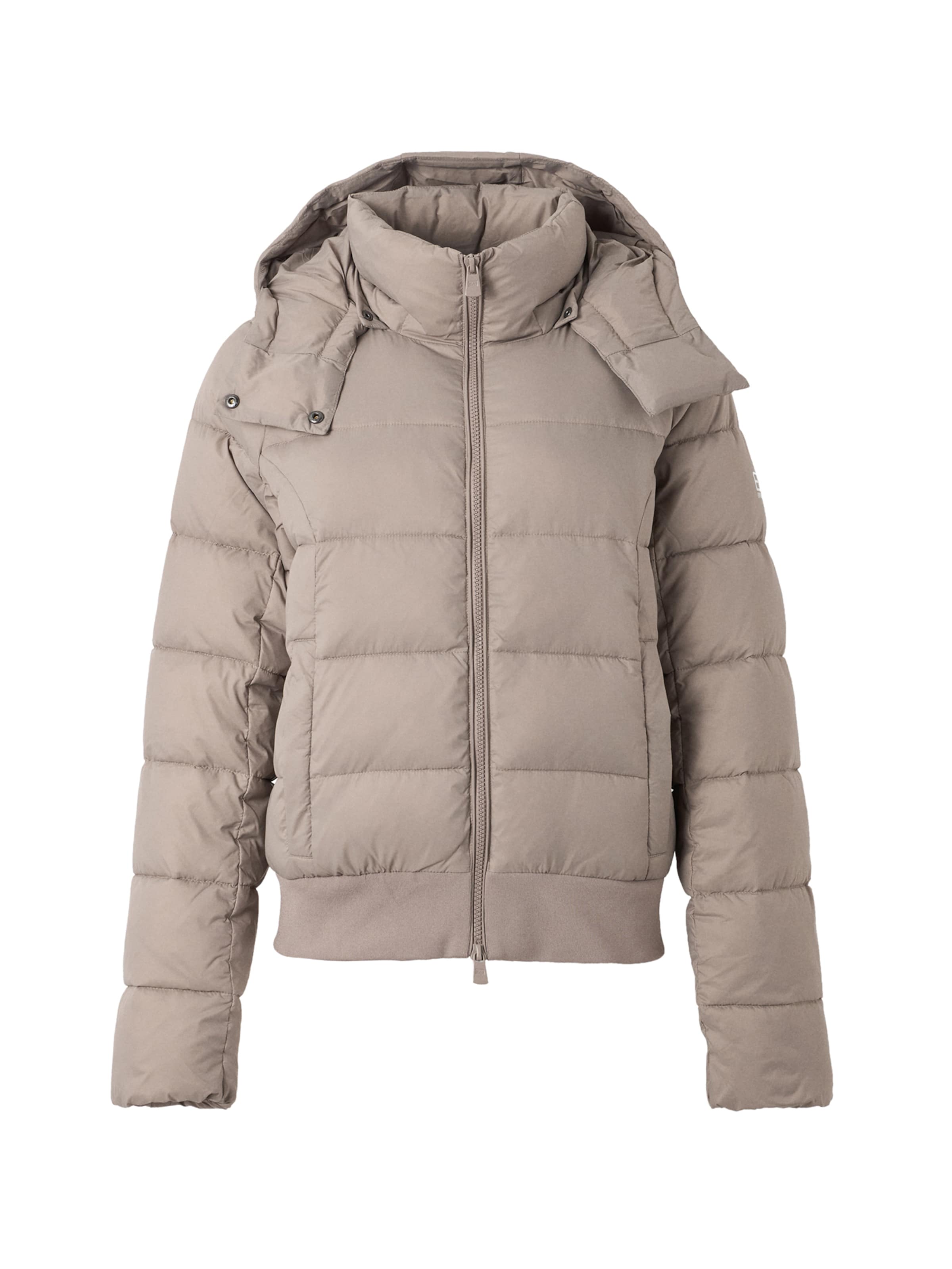 EA7 Emporio Armani Winterjacke in Grau: Vorderseite