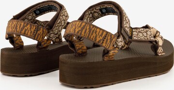 TEVA Sandals in Brown