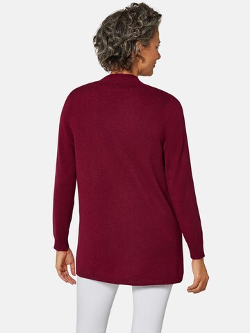 Goldner Sweater in Red