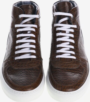 FILOMOTI Sneakers & Trainers in 42 in Brown