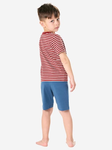 SCHIESSER Pajamas ' Kids Nightwear ' in Blue