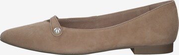 Paul Green Ballet Flats in Brown