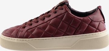 Baskets basses 'MARLEY' Högl en rouge : devant