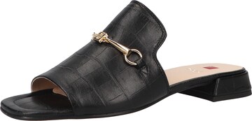 Högl Mules in Black: front