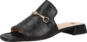 Högl Mules in Black: front