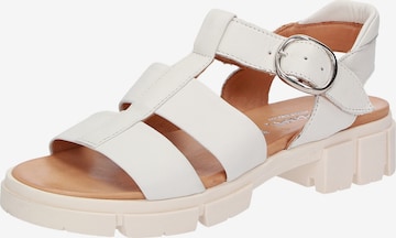 SIOUX Strap Sandals 'Ronila' in White: front