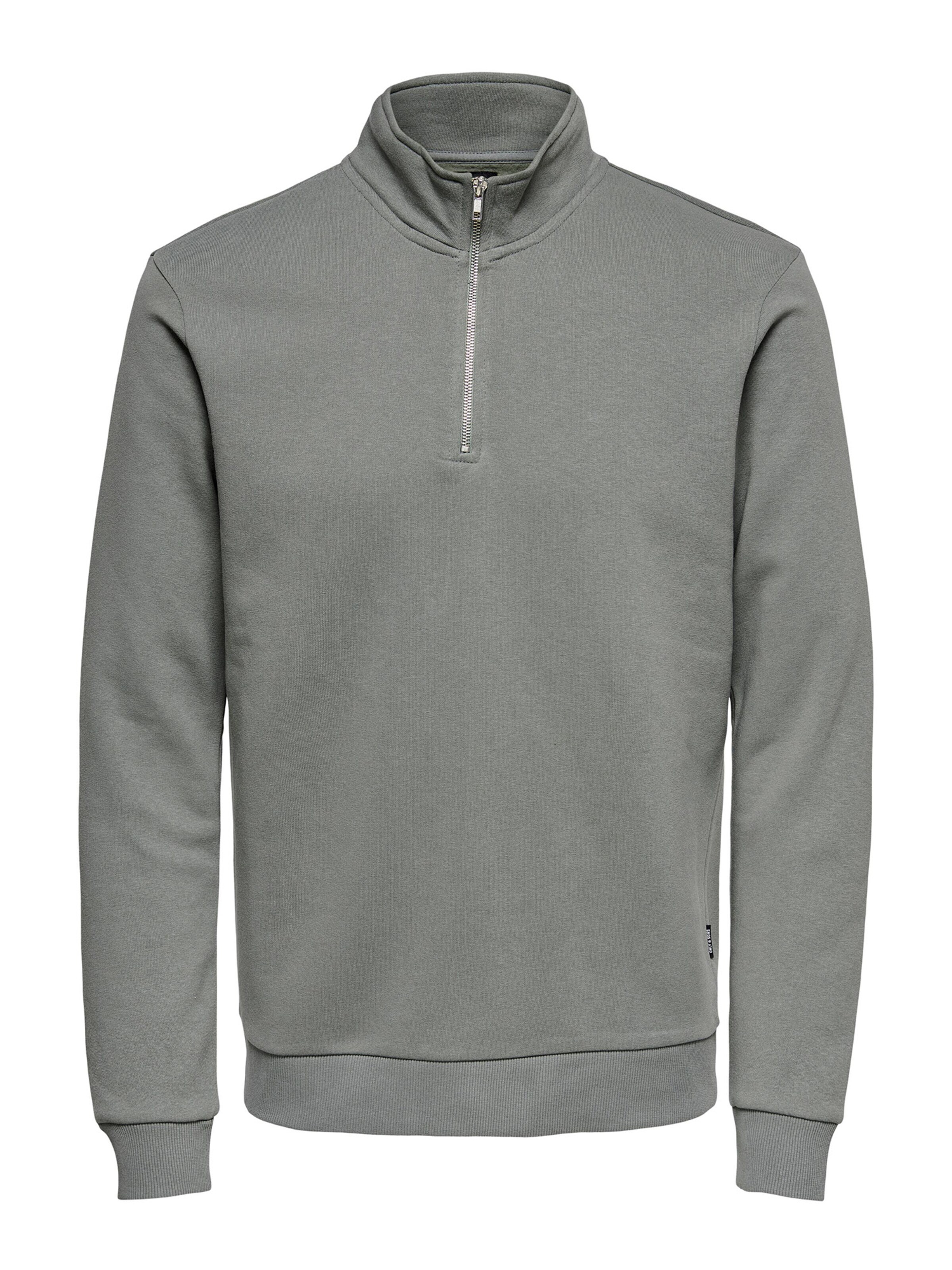 Only & Sons Sweatshirt 'Ceres Life' in Grey: front