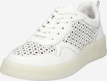 Baskets basses 'Sting' TT. BAGATT en blanc : devant