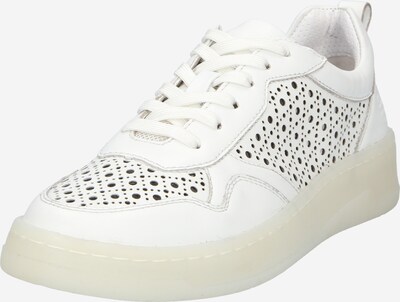 Sneaker low 'Sting' TT. BAGATT pe alb, Vizualizare produs