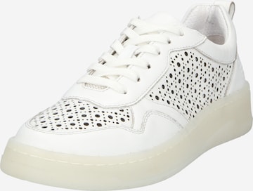 TT. BAGATT Sneaker low 'Sting' i hvid: forside