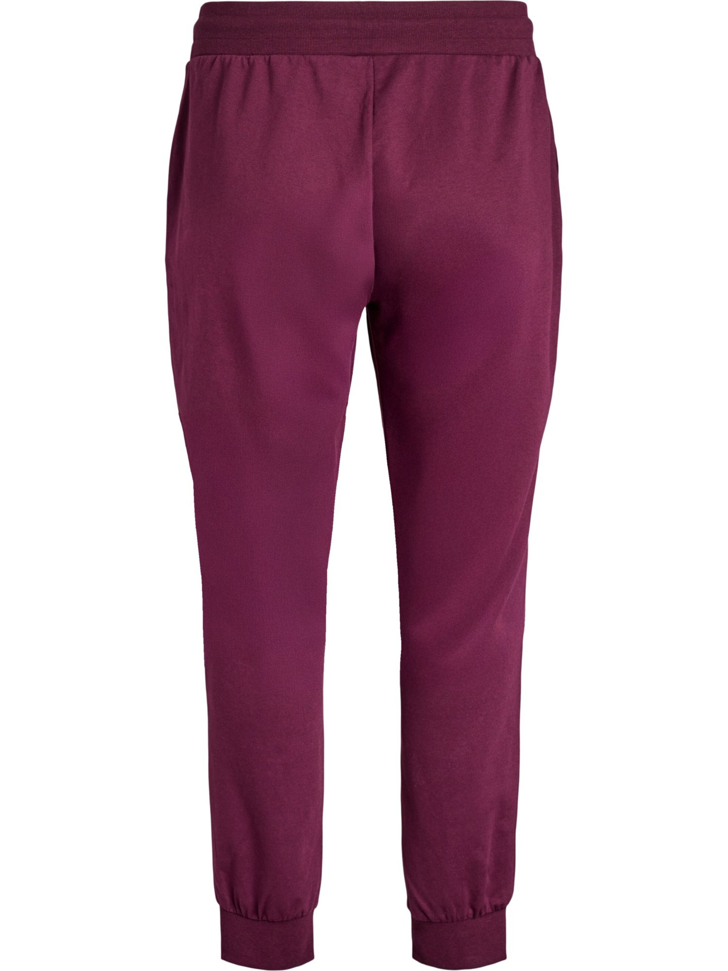 regular Pantaloni 'ABASIC' di Active by Zizzi in rosso
