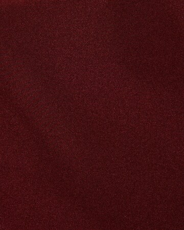 WE Fashion Bikini bottom in Red