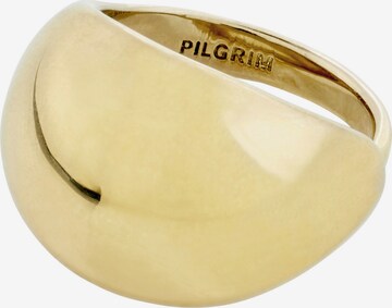 Pilgrim Ring 'ALIVIA' in Gold: predná strana