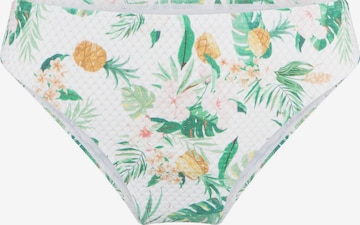 Bas de bikini LingaDore en blanc : devant