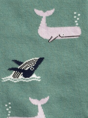 Chaussettes 'Ocean Enthusiasts' DillySocks en mélange de couleurs