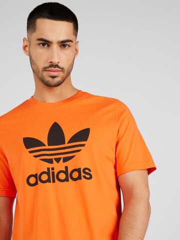 ADIDAS ORIGINALS Shirt 'Adicolor Classics Trefoil' in Orange