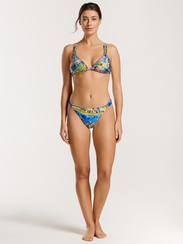 Triangolo Bikini di Shiwi in colori misti