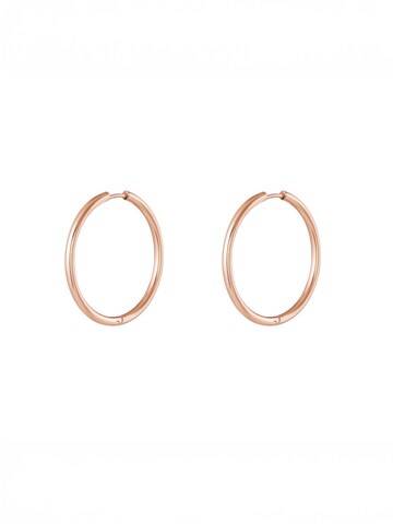 lePelou Earrings 'SERENA' in Gold: front