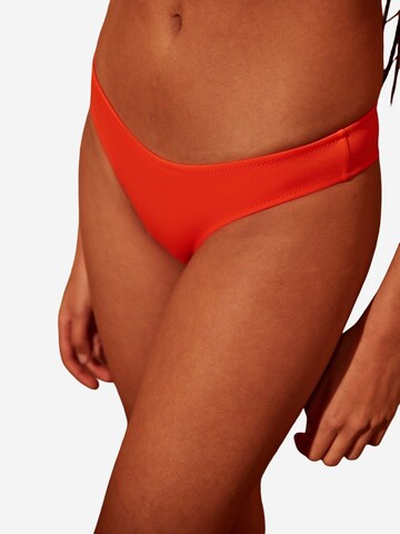 Penti Bikini nadrágok - narancs