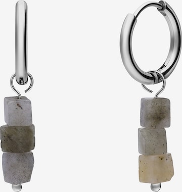 Lucardi Earrings in Silver: front