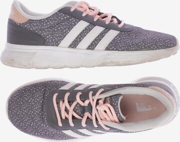 ADIDAS NEO Sneaker 39,5 in Grau: predná strana