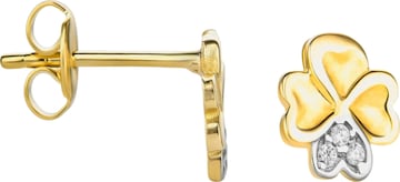 Boucles d'oreilles 'Ohrringe aus 585 Gelbgold' DIAMANT LETERNEL en jaune : devant