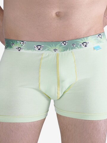 UNABUX Boxer shorts 'Tucan Dandy' in Green