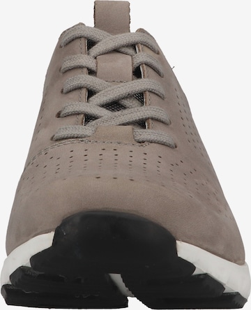 JOSEF SEIBEL Sneakers 'Noah' in Grey