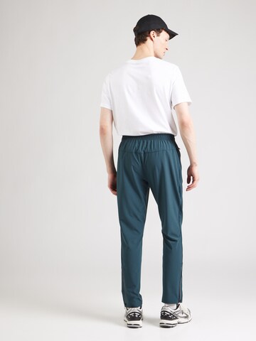 ENDURANCE Regular Workout Pants 'Thule Activ' in Green